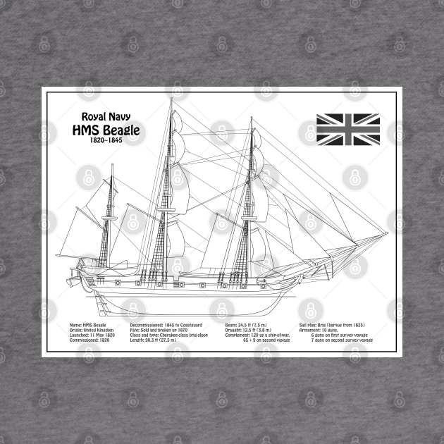 Charles Darwin HMS Beagle Tall Ship - BDL by SPJE Illustration Photography